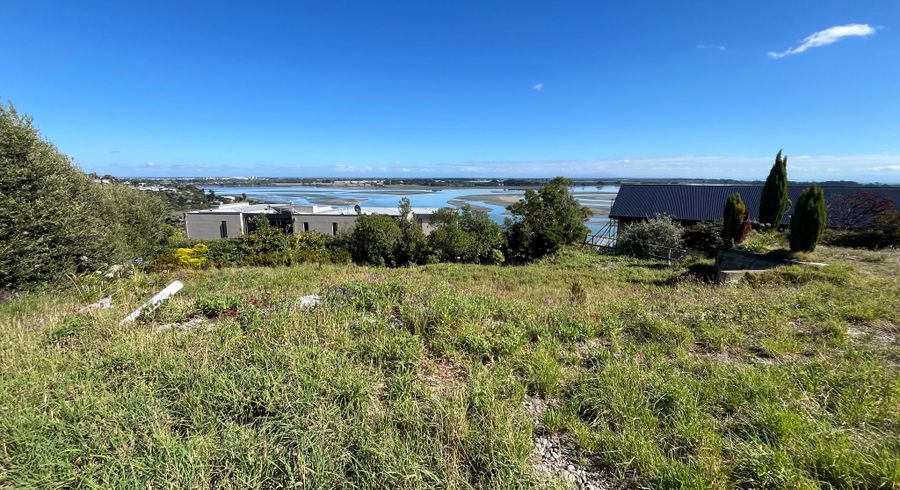  at 29 Balmoral Lane, Redcliffs, Christchurch City, Canterbury