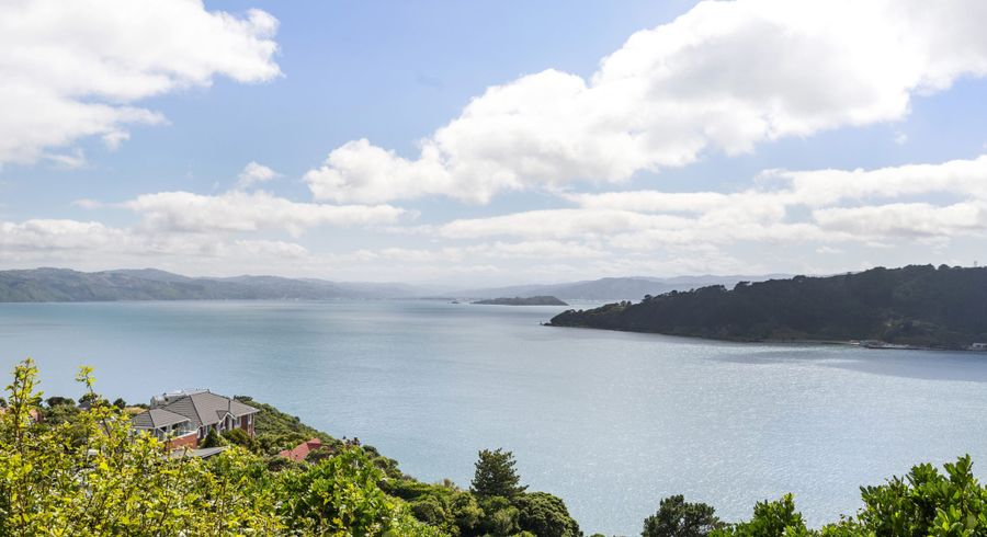 at 21 Waipapa Terrace, Hataitai, Wellington