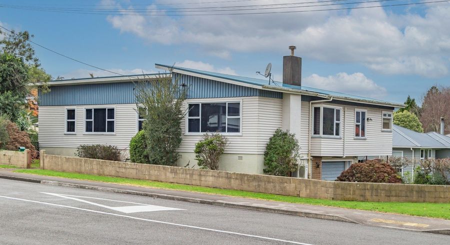  at 2 Argyle Avenue, Levin, Horowhenua, Manawatu / Whanganui