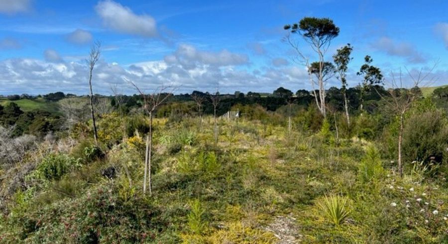  at 0 Awhitu Central Road, Awhitu, Waiuku