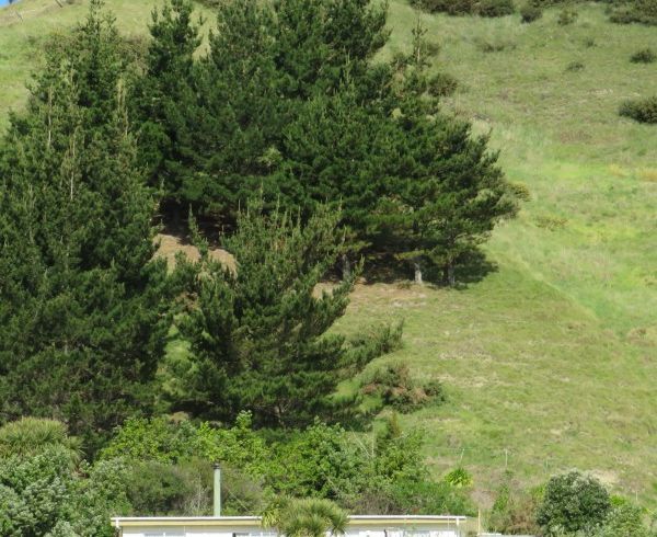  at 47 Lochiel Street, Nuhaka