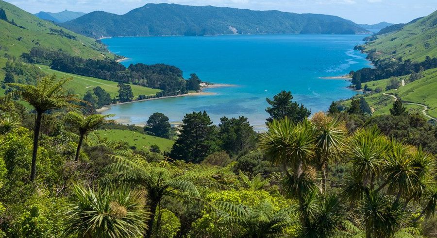 at 565 Anakoha Road, Marlborough Sounds, Marlborough, Marlborough