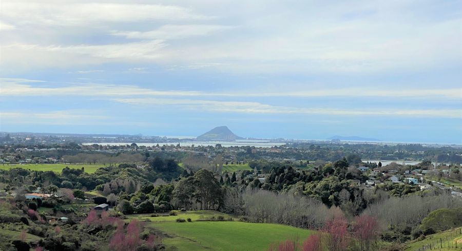  at 10 Blackberry Way, Welcome Bay, Tauranga