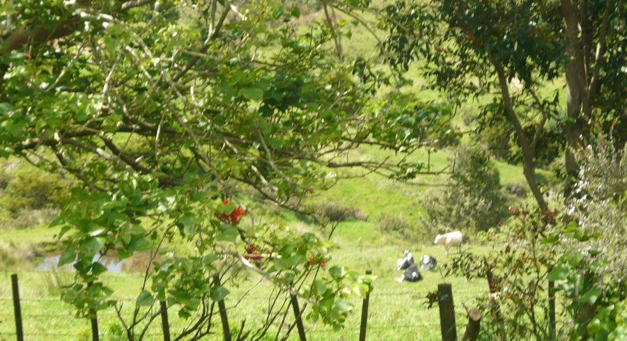  at 61a Porter Road, Paparoa, Kaipara, Northland