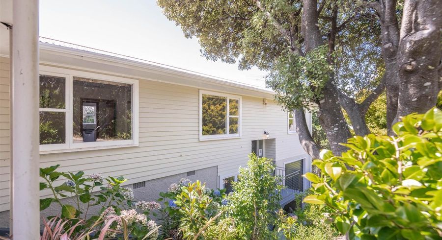  at 18 Elliott Street, Johnsonville, Wellington, Wellington