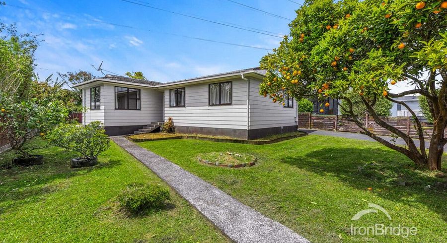  at 6 Tony Segedin Drive, Avondale, Auckland