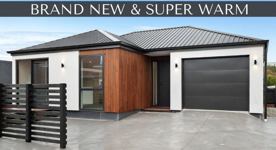 at 73A Macandrew Road, South Dunedin, Dunedin, Otago