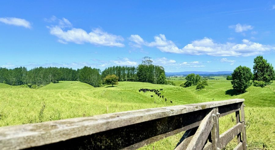 at Lot 6, 1409 Rangiuru Road, Te Puke, Western Bay Of Plenty, Bay Of Plenty