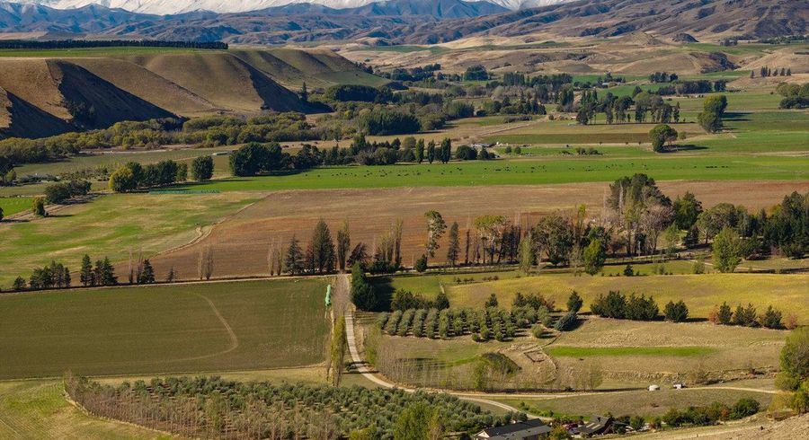  at 58 Thomson Gorge Road, Tarras, Central Otago, Otago