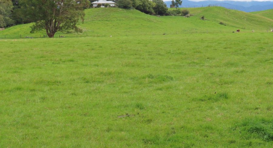  at 61 Church Road, Dannevirke, Tararua, Manawatu / Whanganui