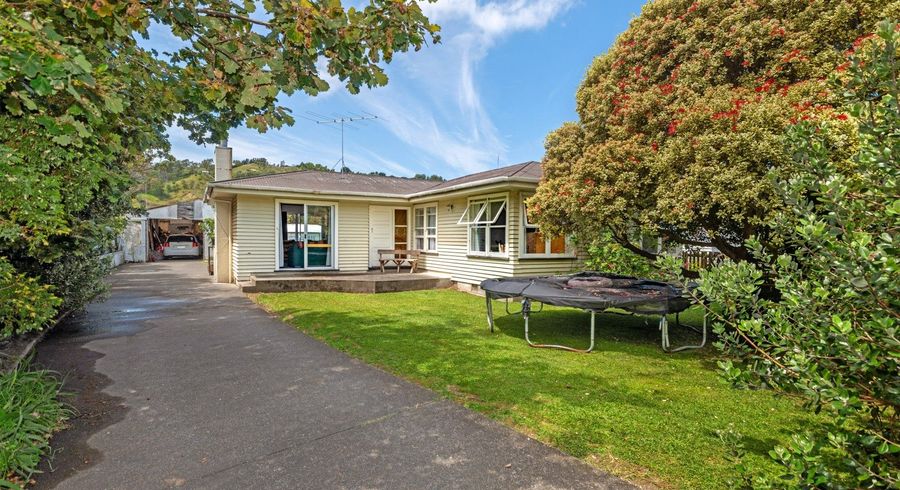  at 24 Steele Road, Tamarau, Gisborne