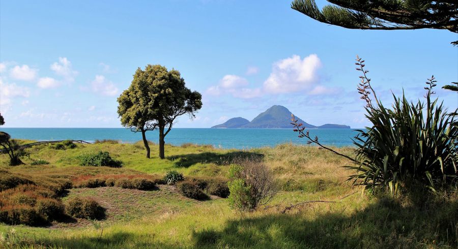  at Sections, Whakatane, Whakatane, Bay Of Plenty