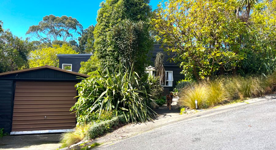  at 37 Frances Street, Broad Bay, Dunedin