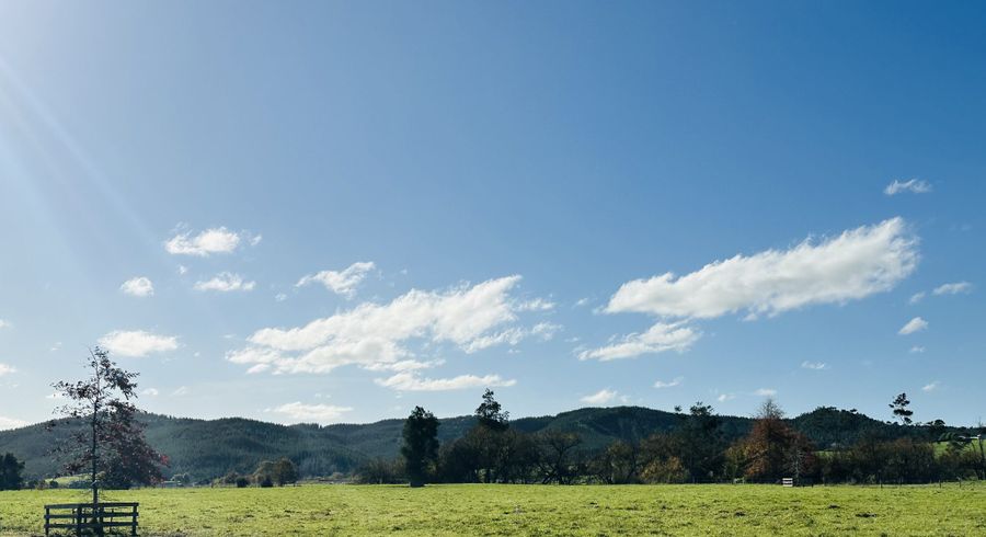  at 206 Okaeria Road, Te Kauwhata, Waikato, Waikato