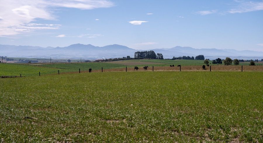  at Hadlow Road, Timaru, Timaru, Canterbury