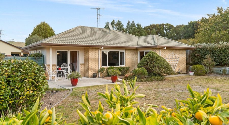  at 16 McLeod Place, Papamoa, Tauranga, Bay Of Plenty