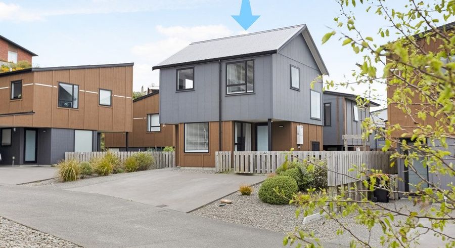  at 42 Astelia Way, Woodridge, Wellington, Wellington