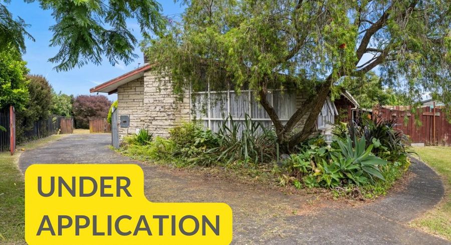 at 19 Corolu Place, Conifer Grove, Takanini