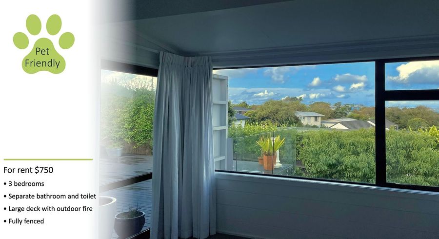  at 45 Amorino Drive, Red Beach, Rodney, Auckland