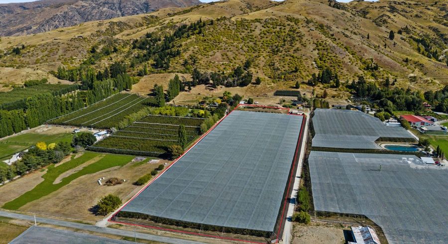  at 260 Ripponvale Road, Cromwell, Central Otago, Otago