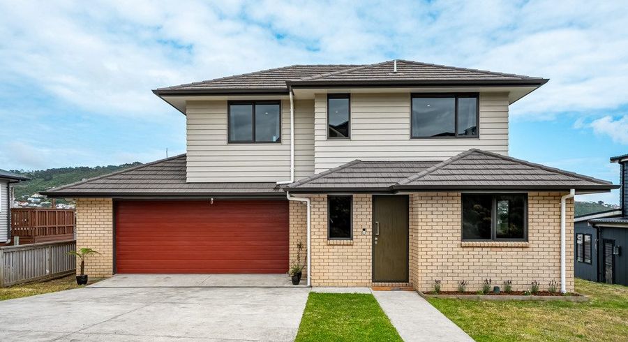  at 1 Cirrus Close, Newlands, Wellington, Wellington