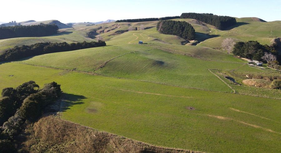  at 597 Weber Road, Dannevirke, Tararua, Manawatu / Whanganui