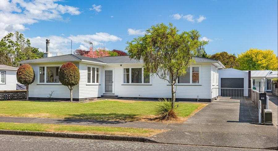  at 42 Highbury Drive, Levin, Levin