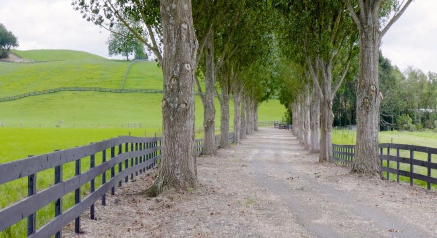  at Harwoods Road, Tirau, South Waikato, Waikato