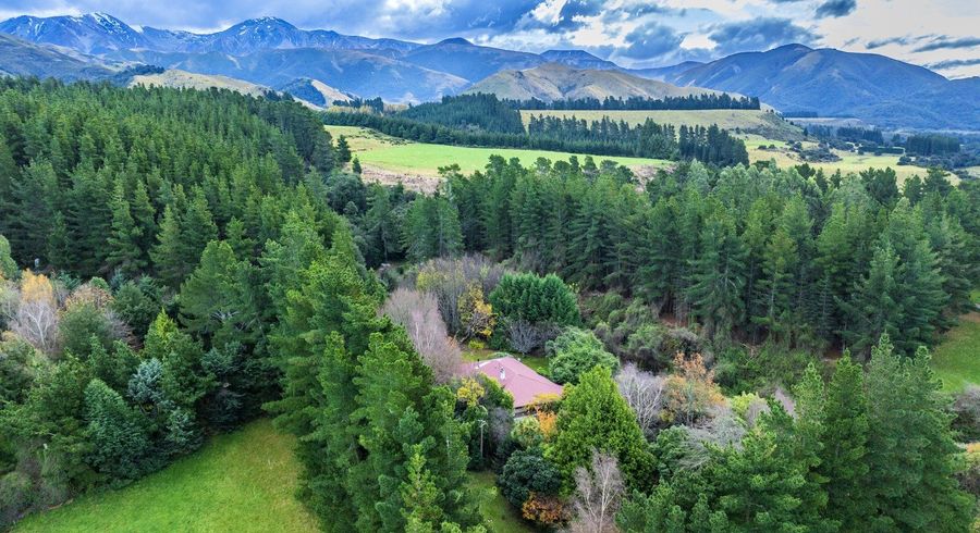  at 663 Rubicon Road, Springfield, Selwyn, Canterbury