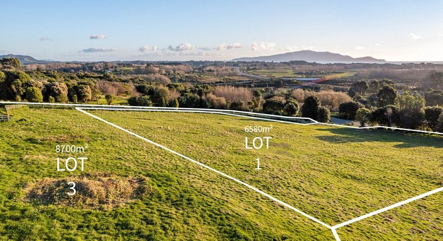  at Lot 1/57 Octavius Road, Peka Peka, Kapiti Coast, Wellington