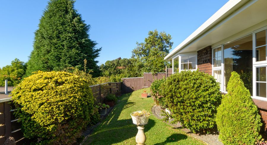  at 22A Sixth Avenue, Tauranga, Tauranga