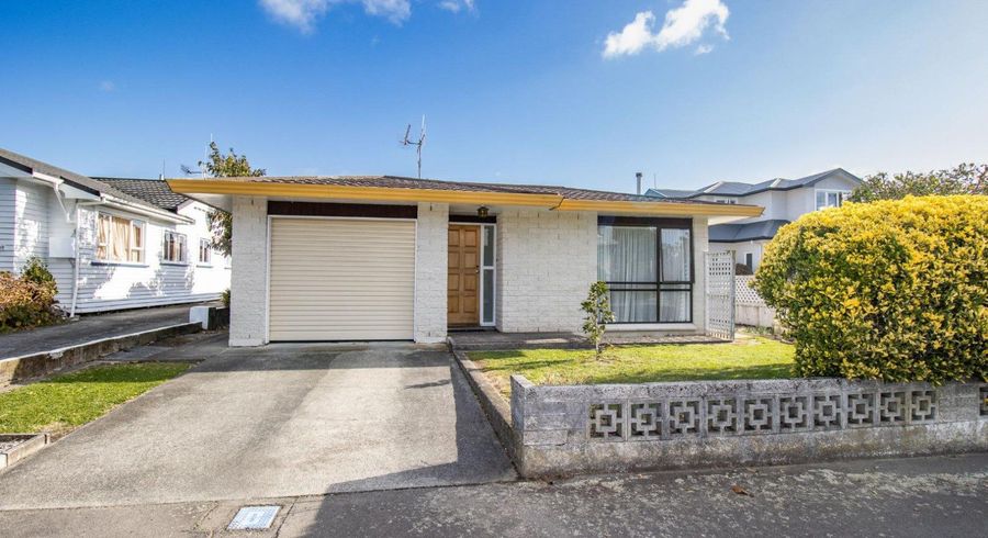  at 224 Albert Street, Hokowhitu, Palmerston North, Manawatu / Whanganui