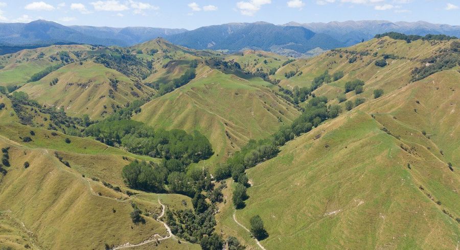  at 131 Rangitane Road, Mangaweka, Rangitikei, Manawatu / Whanganui