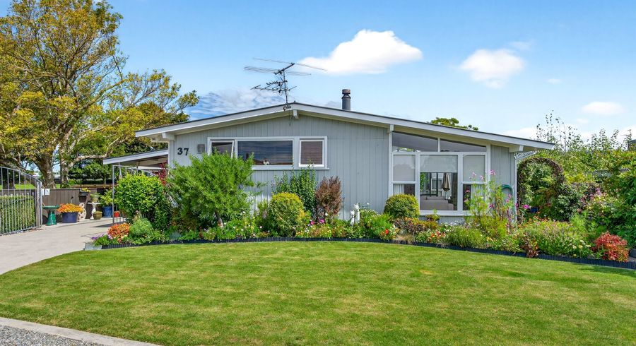  at 37 Daniell Street, Masterton, Masterton, Wellington