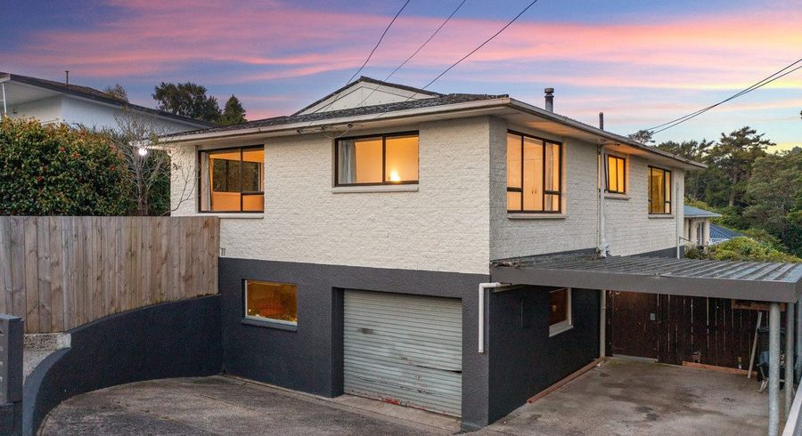  at 20 Hood Street, Wakari, Dunedin