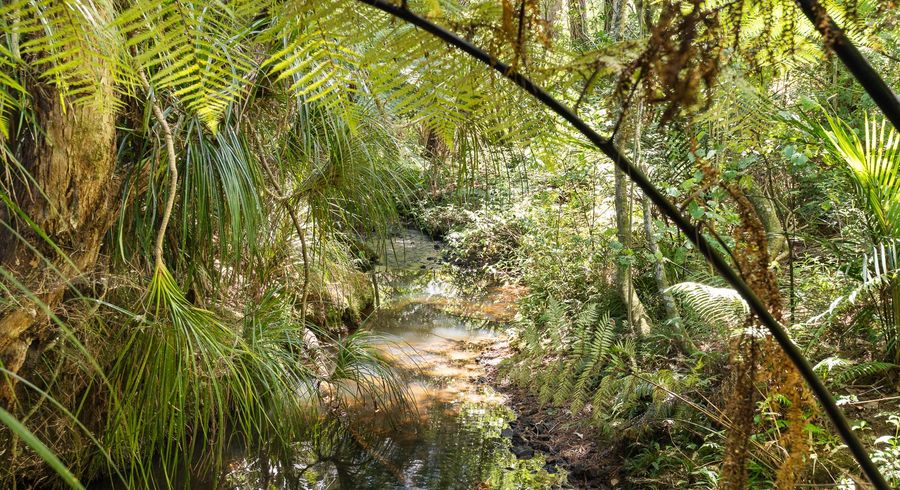  at 2 Walu Lane, Matapouri, Whangārei