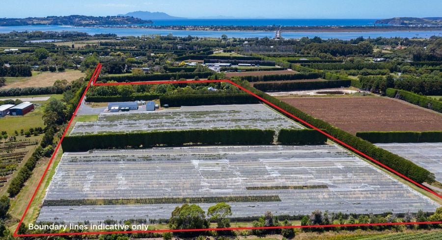  at 242A Omaha Flats Road, Omaha, Rodney, Auckland