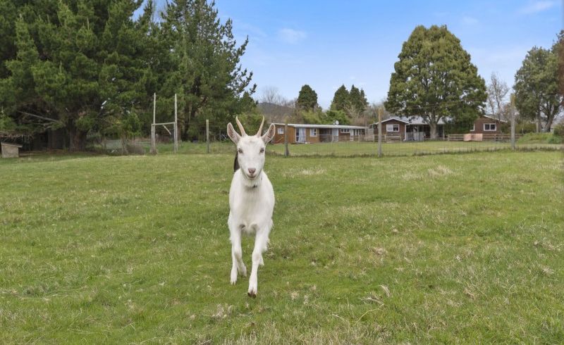  at 30 Lee Road, Hannahs Bay, Rotorua