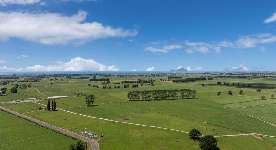  at 697 Matata Road, Matata, Whakatane, Bay Of Plenty