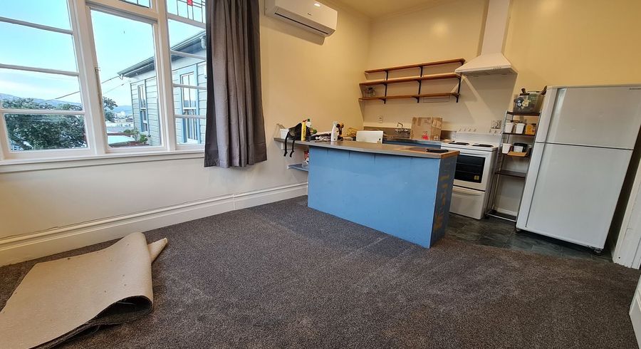  at 133 Hanson Street, Newtown, Wellington, Wellington
