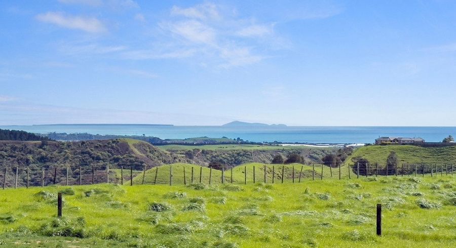  at 106D Awanuiarangi Road, Pikowai, Whakatane, Bay Of Plenty