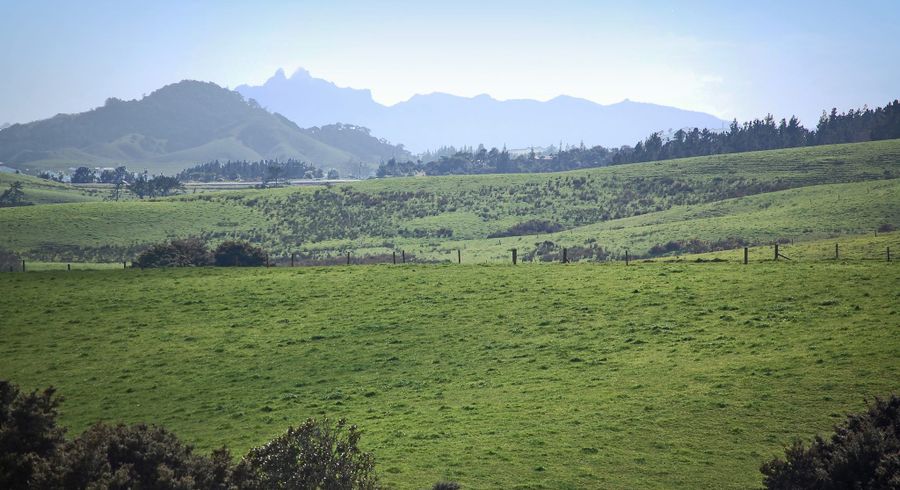  at 86 Hilltop Road, Hakaru, Kaiwaka