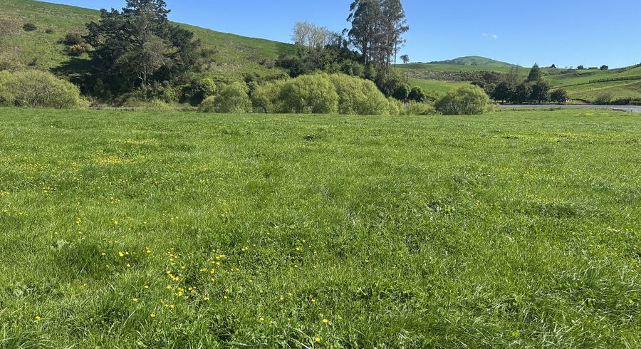  at Lot 1, 51 Kiwi Road, Pirongia, Waipa, Waikato