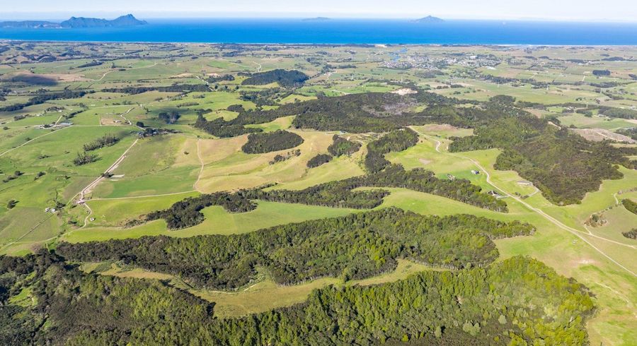  at Lot 4 Shieling Road, Waipu, Whangarei, Northland