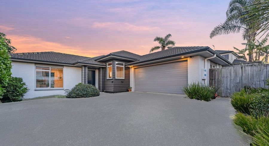  at 19 Savina Court, Flat Bush, Manukau City, Auckland