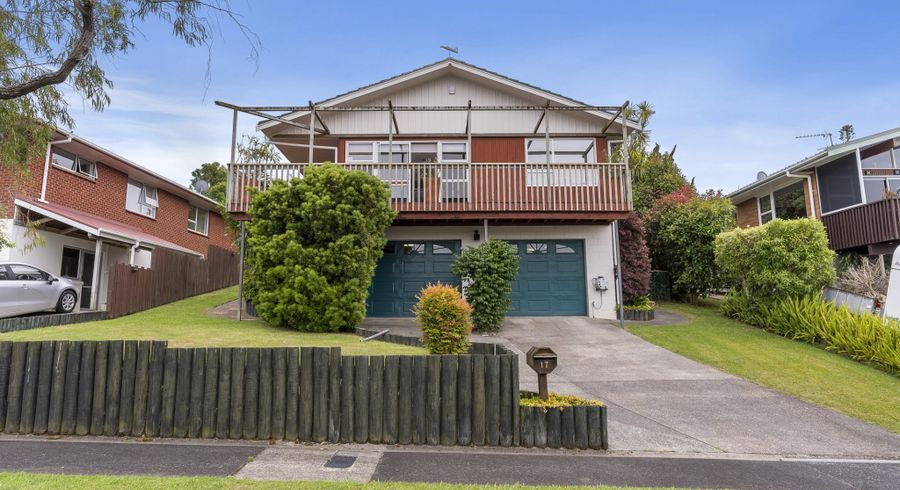  at 17 Dallas Place, New Windsor, Auckland