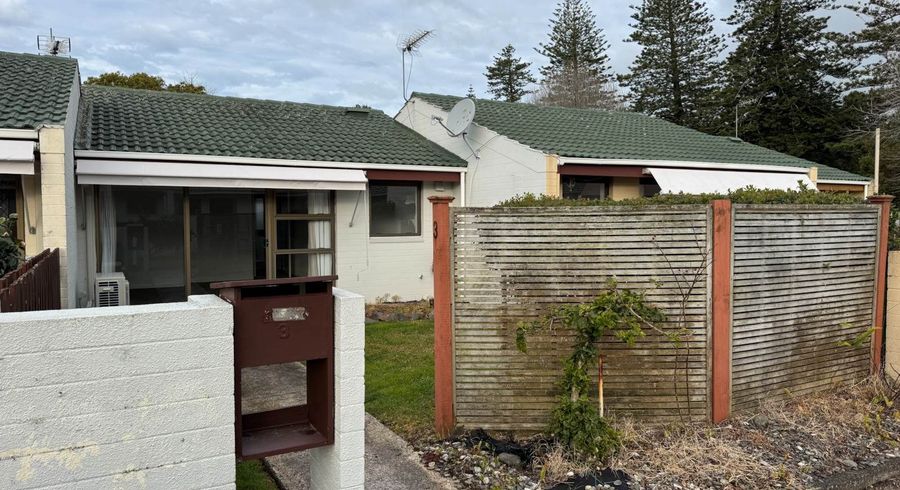  at 3/113 Trafalgar Street, Onehunga, Auckland City, Auckland