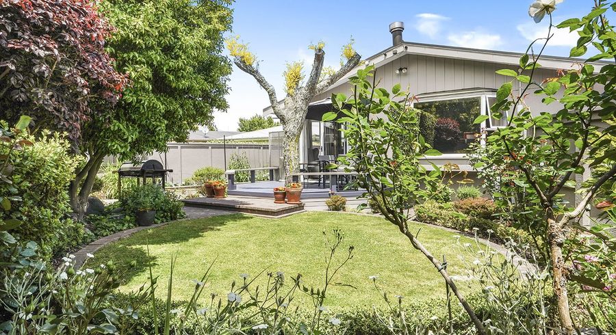  at 17 Queenwood Avenue, Queenwood, Hamilton