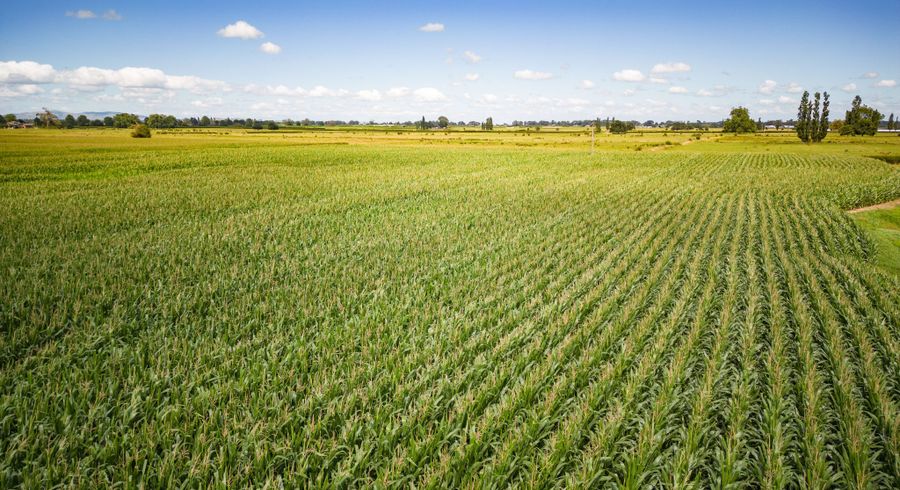  at 195b Waihekau Rd, Waihou, Matamata-Piako, Waikato