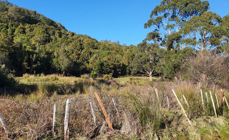  at 42 Herd Street, Dunollie, Runanga